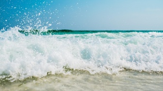 Saat Laut Menyimpan Napas Terakhir: Kisah Ketangguhan dari Karimunjawa