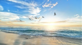 Antara Pasir yang Berjalan: Cerita Ketangguhan dari Pesisir Selatan Lombok