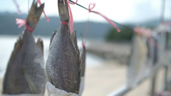 Perempuan yang Menjemur Pagi: Cerita Ketangguhan dari Pesisir Demak