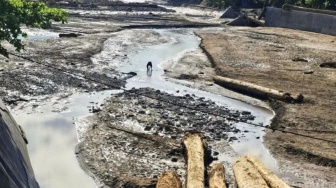 Hampir 3 Ribu Hektare Sawah di Kota Padang Terancam Kekeringan, Bendungan Rusak Diterjang Bencana!