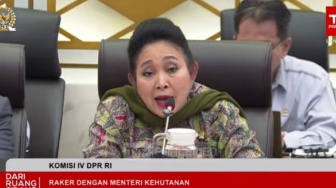 Geram Titiek Soeharto Truk Angkut Kayu Saat Bencana: Tindak Tegas, Bintang Berapa pun Belakangnya