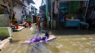 Banjir Rob Meluas di Jakarta Utara, Genangan Capai 40 Sentimeter