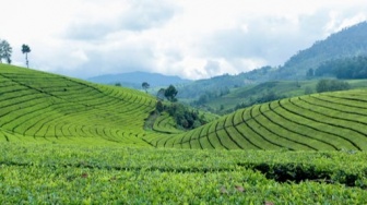 7 Tempat Wisata Alam Indah yang Tersembunyi di Pulau Jawa