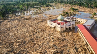 Usai Banjir Bandang, Lautan Gelondongan Kayu Penuhi Aceh Tamiang
