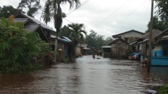 Banjir Meluas di Perbatasan dan Pesisir Kalbar, Rumah-Rumah Terendam, Sekolah Diliburkan