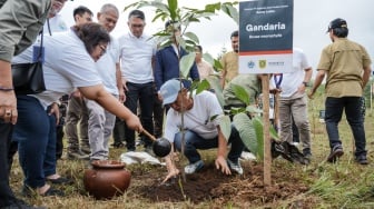 Kurangi Risiko Bencana Hidrometeorologi, KLH Dukung Penanaman Pohon di Hulu Puncak