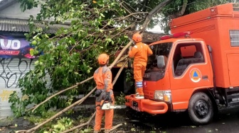 Ingatkan Warga Waspada Cuaca Ekstrem, BPBD Yogya Soroti Kerentanan Kawasan Wisata