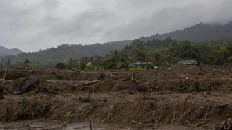 1.341 Hektare Sawah di Sumbar Gagal Panen Usai Dihantam Banjir Bandang