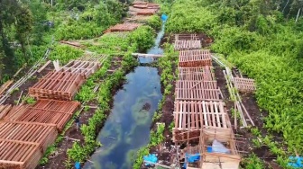 Polres Inhu Temukan Ratusan Kubik Kayu Illegal Logging yang Tersusun Rapi