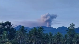 Awas! Gunung Dukono Menyembur Asap Tebal 900 Meter Pagi Ini, Benarkah Statusnya Aman?
