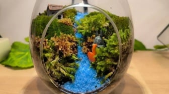 Saat Gen Z Jogja Melawan Stres dengan Merangkai 'Mini Hutan'