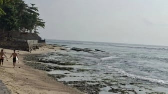 Mulai Kisaran Rp150 Ribuan untuk Penginapan di Krui, Pilihan Favorit Para Peselancar