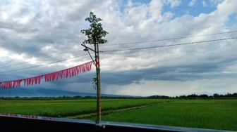 CERPEN: Kabur dari Pasukan Berkuda