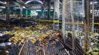 Penampakan Buah-buahan dan puing sisa kebakaran di Pasar Induk Kramat Jati, Jakarta, Senin (15/12/2025). [Suara.com/Alfian Winanto]