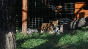 Dari Safari ke Laut: Nikmati Dua Wajah Indah Bali dalam Satu Perjalanan
