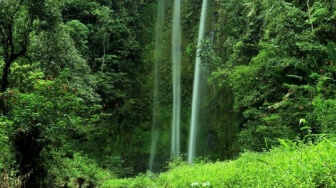 7 Air Terjun Tersembunyi di Pagaralam untuk Liburan Tenang Tanpa Keramaian