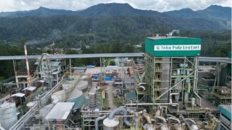 Toba Pulp Lestari Punya Siapa? Disorot Buntut Bencana Banjir dan Longsor Sumatera
