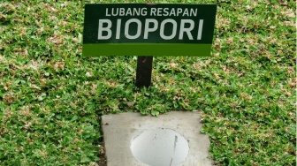 Dari Lubang Kecil Bernama Biopori, Kita Belajar Mengurai Genangan Saat Hujan Turun