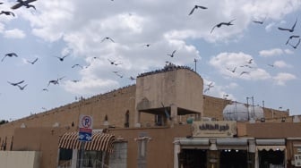 Mengunjungi Thaif: Napak Tilas Spiritualitas Rasulullah di Kota di Atas Awan