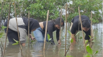 Tanam Mangrove dan Berkarya, Kolaborasi Seniman dan Penulis di Pantai Baros