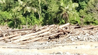 Dapat Dimanfaatkan! JK Sarankan Kayu Bekas Banjir di Padang Jadi Bahan Bangunan