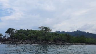 Dari Pesisir Belitung, Lahir Harapan Baru untuk Laut yang Lebih Baik