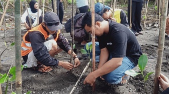 Mangrove Sketch and Write, Merawat Pesisir Baros Lewat Aksi dan Karya