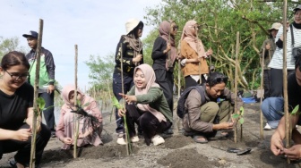 Dari Pesisir untuk Warga: Aksi Tanam Mangrove Suara Hijau dan Sketch and Write
