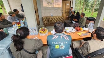 Cegah Kematian Gajah Sumatera Akibat EEHV, Kemenhut Gandeng Vantara dari India