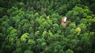 Reklamasi:  Saat Kewajiban Hukum Bertransformasi Menjadi Komitmen Pemulihan Ekosistem