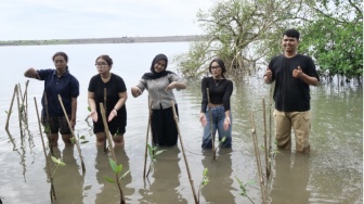 Mangrove sebagai Benteng Alam di Pantai Baros