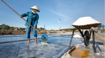 Di Bawah Matahari yang Tak Berbelas Kasihan: Kegigihan Petani Garam Rembang