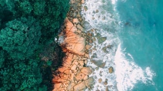 Laut Mengambil Kembali Haknya: Belajar Etika Ekologi dari Abrasi