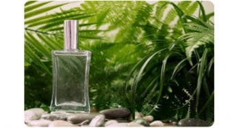 5 Rekomendasi Parfum Pria Outdoor yang Segar dan Tahan Lama Buat Liburan