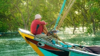 Mangrove dan Manusia Pelajaran tentang Kesabaran yang Tak Instan
