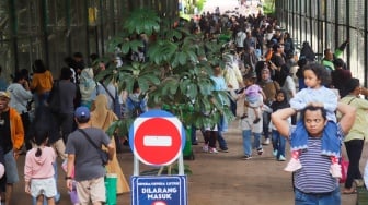 Ragunan 'Meledak' di Tahun Baru, Pengunjung Tembus 113 Ribu Orang Sehari