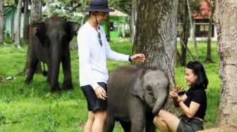 7 Hal Penting untuk Berkunjung ke Taman Nasional Way Kambas bagi Wisatawan