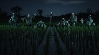 Wajah-wajah Seram di Area Persawahan