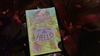 Ulasan Novel Hello Karya Tere Liye: Cinta, Rumah, dan Kesalahpahaman