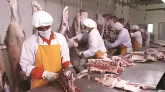 Isu BEEF Dicaplok Raksasa Korea Selatan, Efek Program MBG?