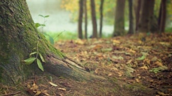 CERPEN: Sunggu Marpasang