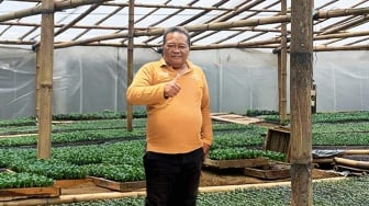 Kisah Sukses Nasabah ULaMM Syariah: Berdayakan Usaha Mikro untuk Ketahanan Pangan