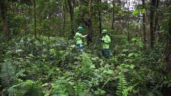 Reklamasi Terintegrasi, Wujud Komitmen Praktik Pertambangan yang Bertanggung Jawab