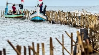 Pemilik Pagar Laut Tangerang yang Ramai Dibahas Pandji Pragiwaksono
