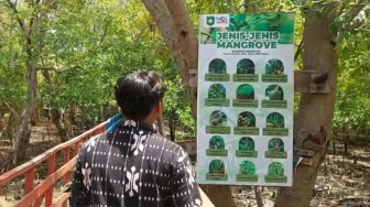 Menjaga Pesisir Sumbawa Melalui Ekowisata Mangrove Nanga Sira Desa Penyaring