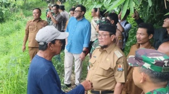 Pemkab Cirebon Bakal Ganti Sawit yang Terlanjur Ditanam dengan Mangga Gedong Gincu, Ini Alasannya