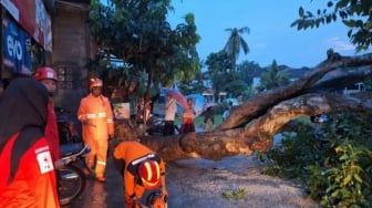 Angin Kencang Terjang Pamekasan, 14 Rumah Rusak dan Pohon Tumbang di Tiga Kecamatan
