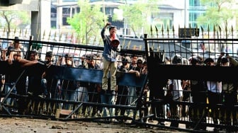 Demo Pemekaran Luwu Raya Ricuh, Tujuh Satpol PP Terluka