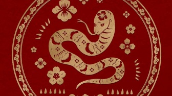 5 Shio Paling Hoki Besok 14 Januari 2026, Ada Ular dan Monyet