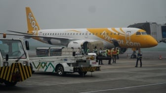 Akhirnya Terbang Lagi! Scoot Resmi Layani Rute Langsung PalembangSingapura